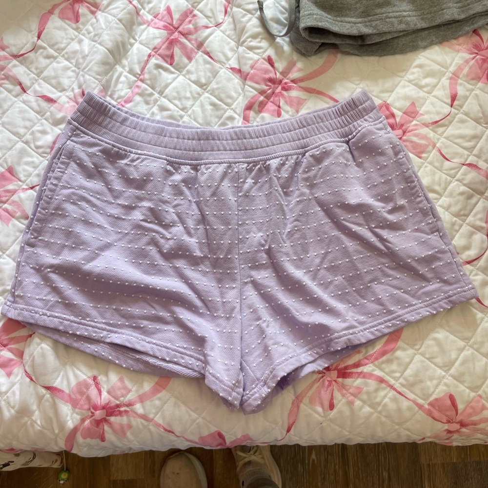 Purple Aerie Shorts
